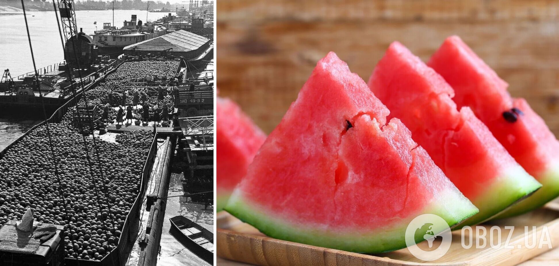 В сети показали, как в речном порту Киева разгружали херсонские арбузы в 1958 году. Архивные фото