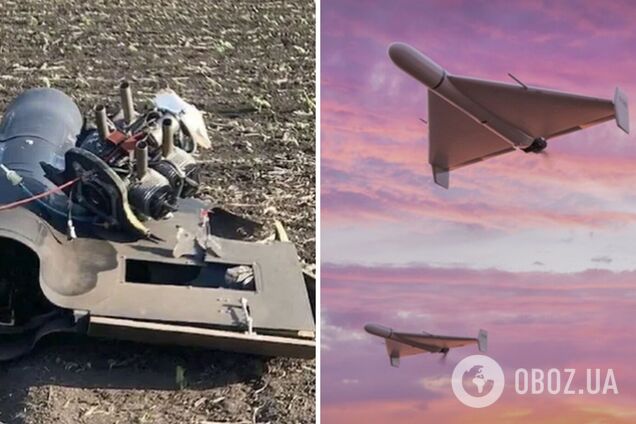 Эффективность около 70%: в ВСУ заявили о новом подходе к перехвату БПЛА