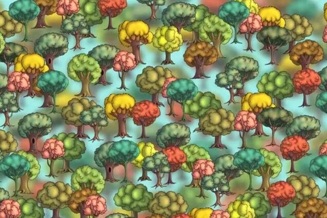 Где брокколи? Веселая головоломка на внимательность