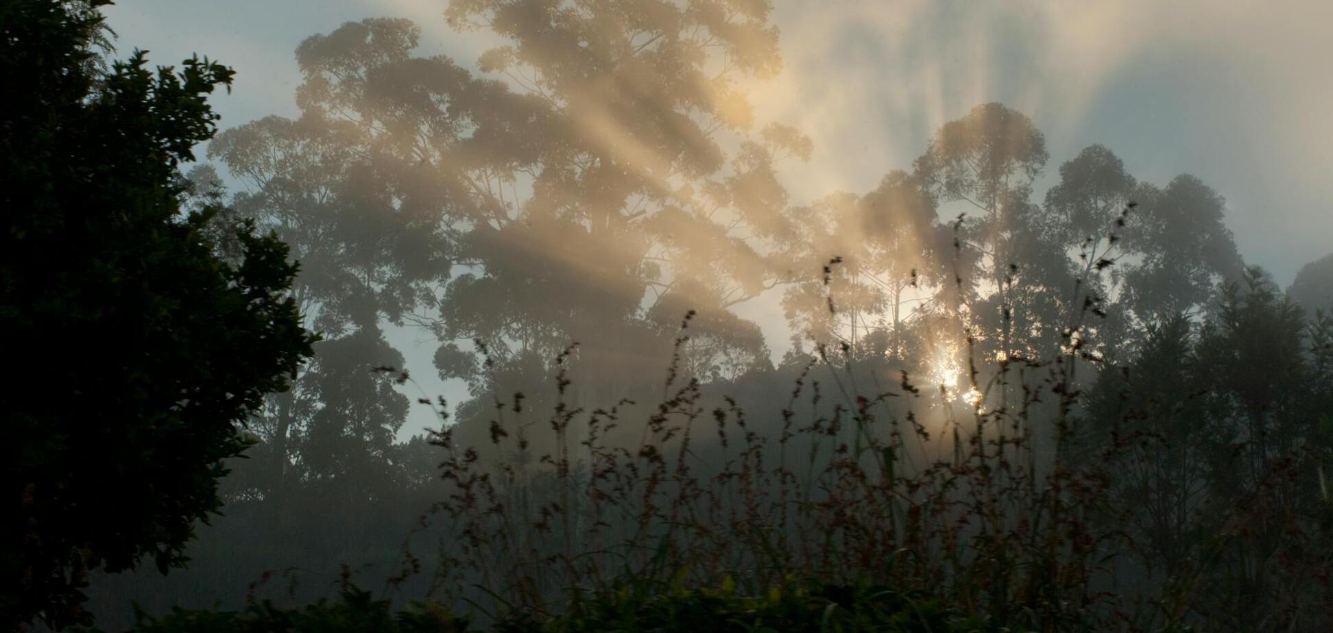 Осталось 3 года: ученые опубликовали тревожный отчет о потеплении