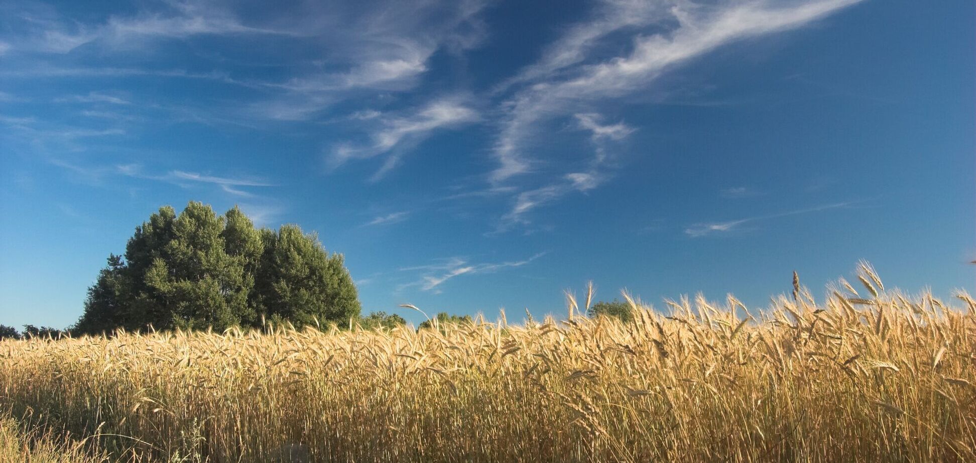 Какой праздник отмечают 24 июня: все об этом дне: все об этом дне