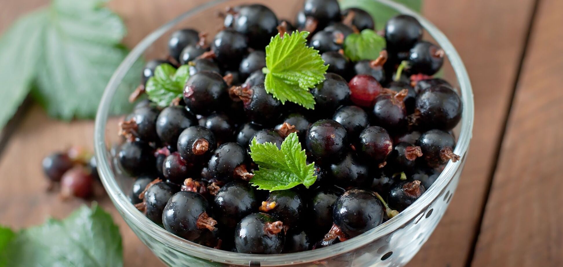 Как заготовить смородину на зиму: пошаговая инструкция