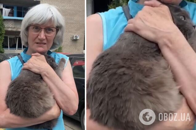 'Заставил выйти из комнаты': в Днепре кот, который требовал есть, спас владелицу во время обстрела. Видео