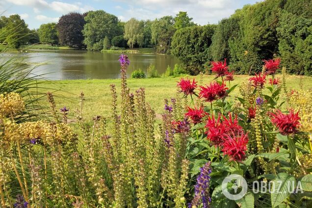 Когда в Украину ворвется настоящая жара? В Гидрометцентре назвали даты и предупредили о похолодании