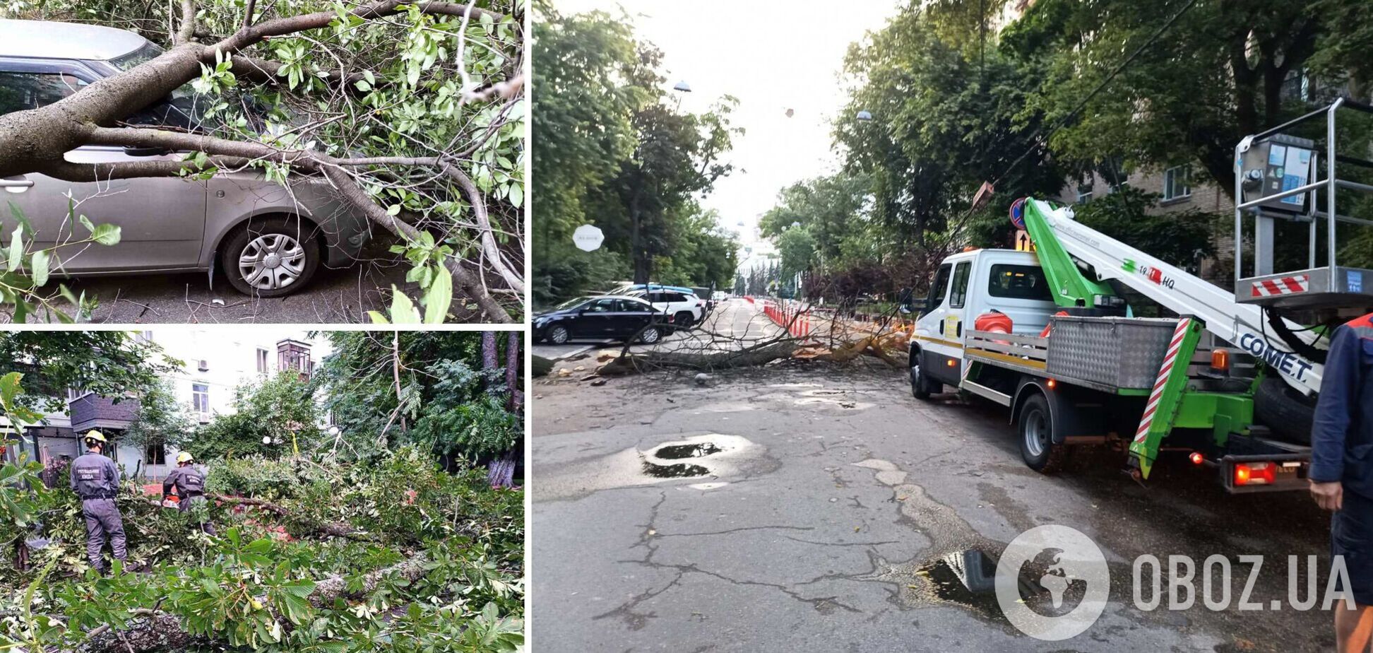 Поврежденные авто и деревья на дороге: в КАРС показали последствия непогоды в Киеве. Фото