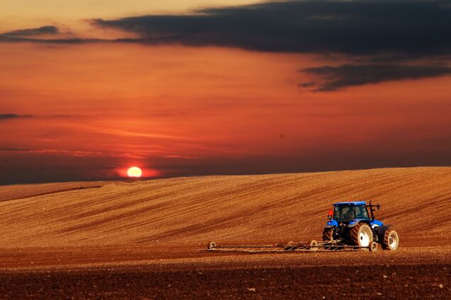 Иллюстрация - трактор собирает пшеницу на фоне заката солнца