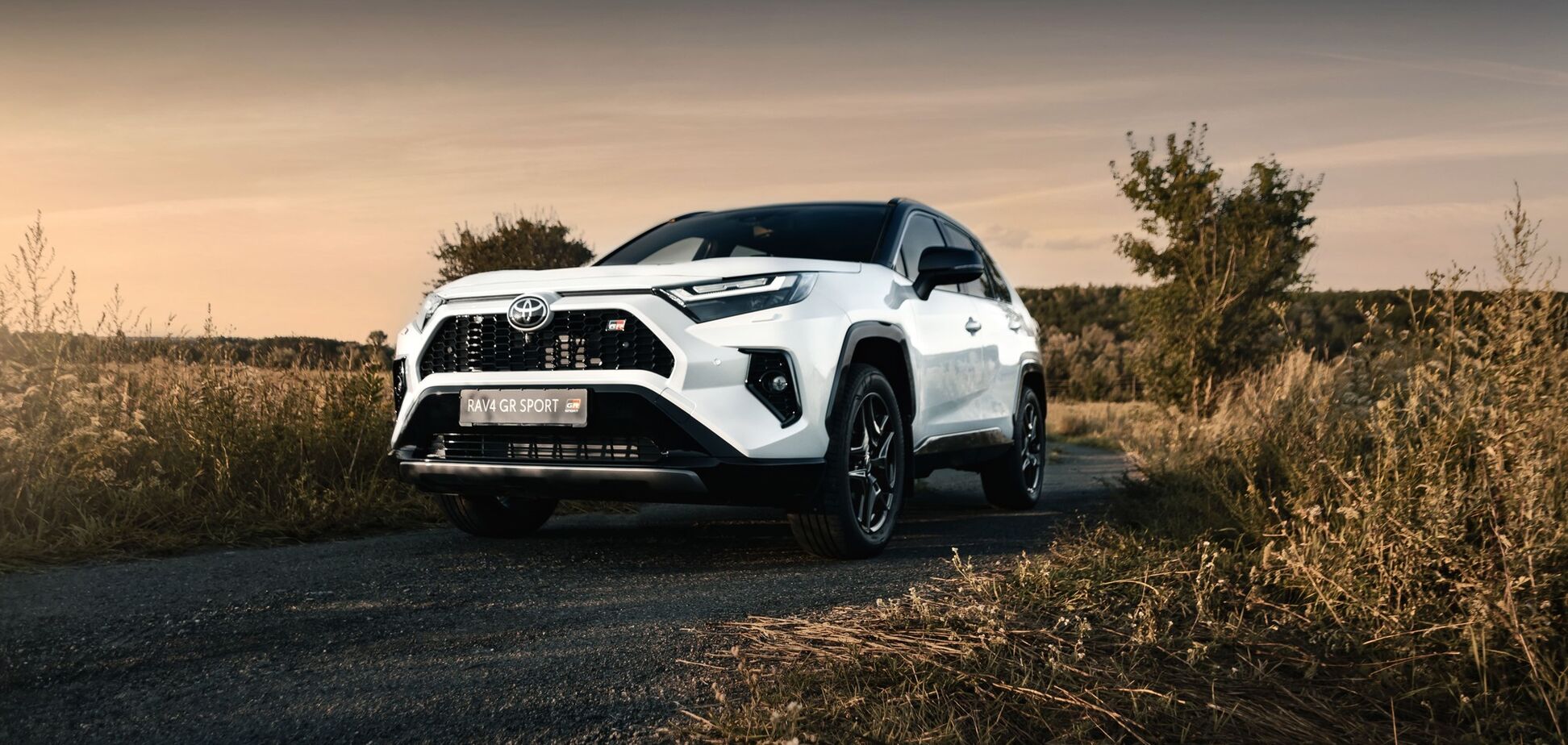 Українці масово купують нові авто