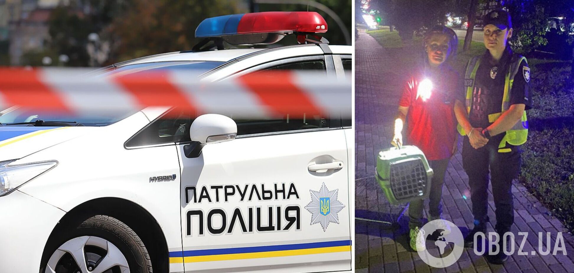 Під Києвом патрульні прийшли на допомогу пораненому котику. Подробиці та фото