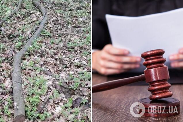 Суд конфіскував гілку граба у ветерана