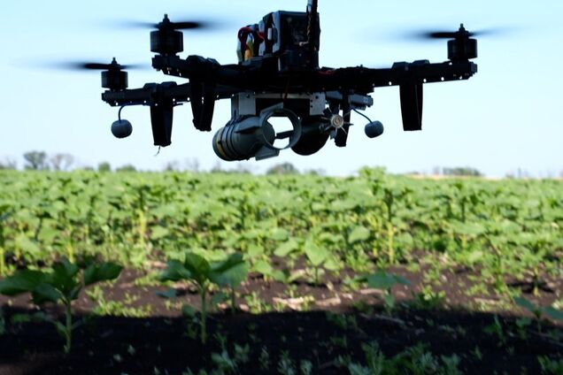 20-30 атак на день: у ЗСУ розповіли, як дрон 'Королева Шершнів' відбиває штурми на Покровському напрямку. Відео