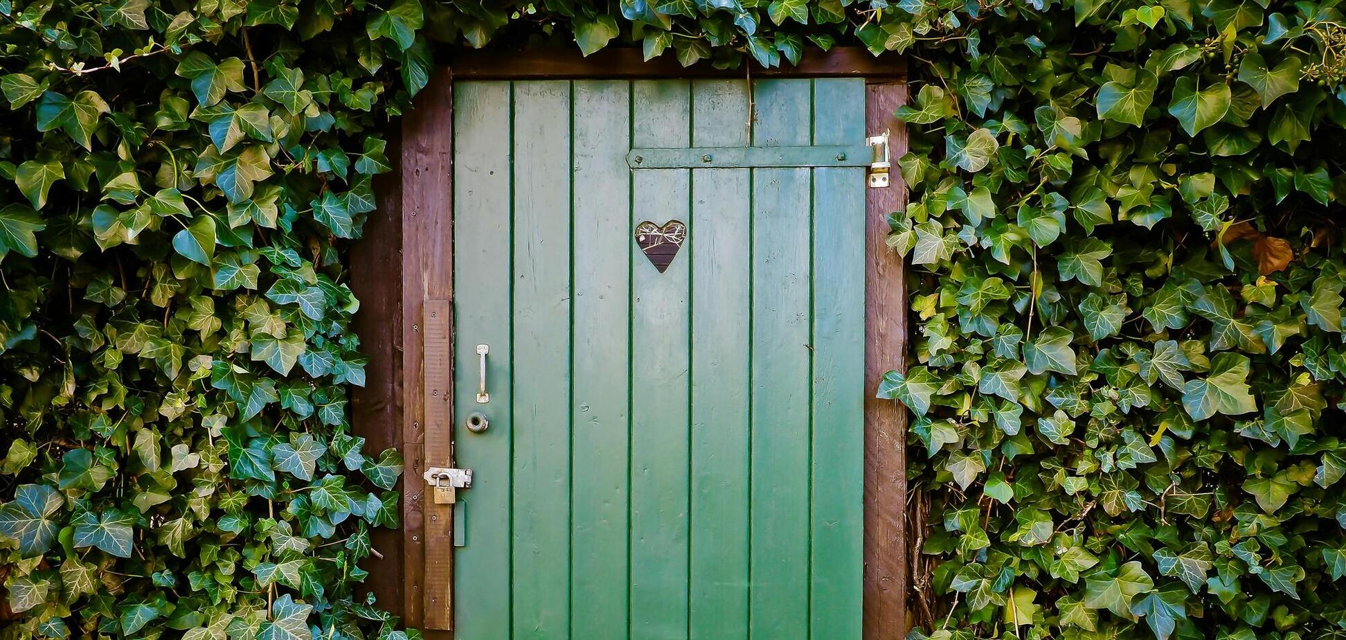 Как навсегда избавиться от плюща в вашем саду: действенный метод