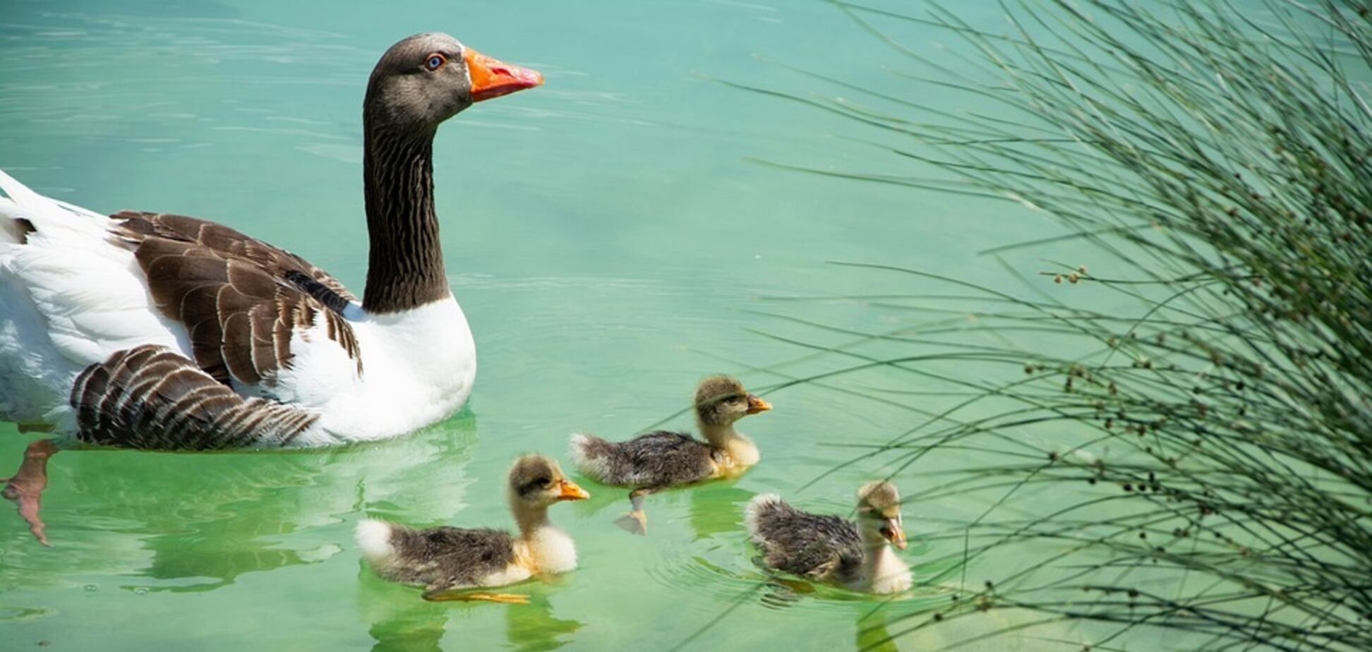 Рассчитываем на летний режим: синоптики сказали, какой будет погода в первую неделю июня. Видео
