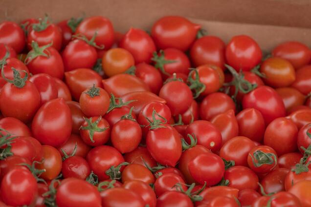 Чем поливать помидоры, чтобы они дали впечатляющий урожай: неожиданное решение