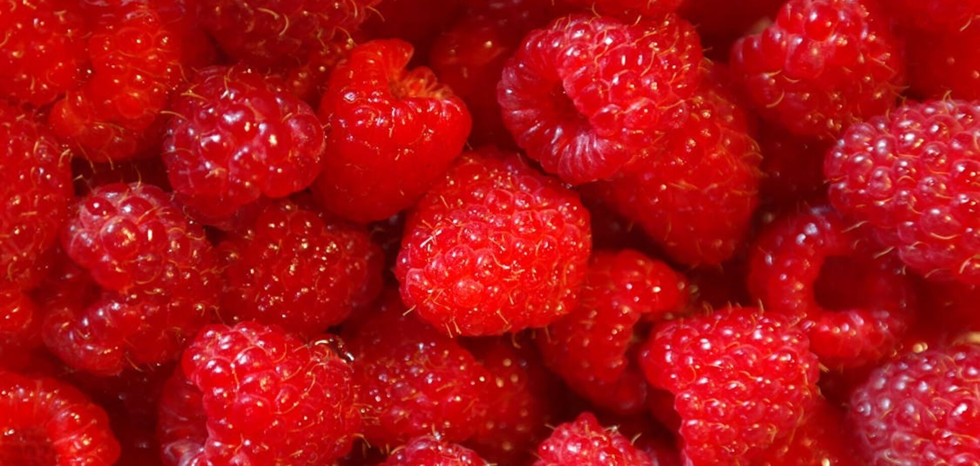 Как хранить ягоды, чтобы они не превратились в кашу: проверенный способ