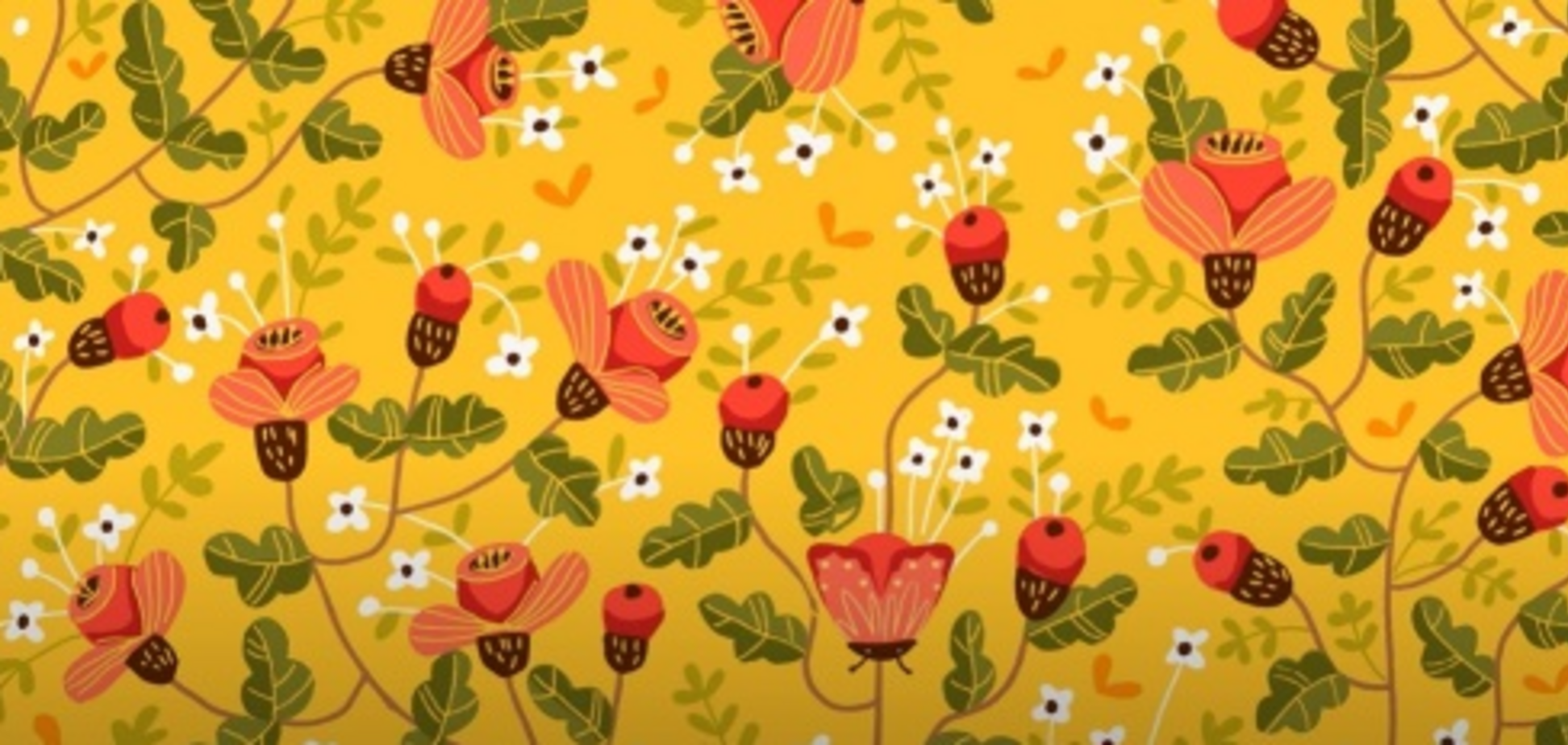 Где бабочка? Головоломка для самых сообразительных