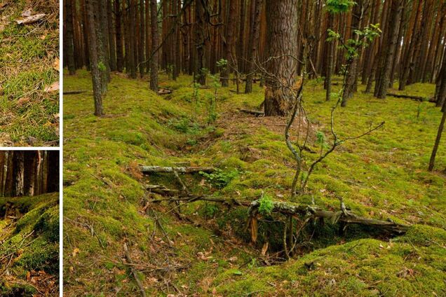 Почти слились с рельефом: в Чернобыльской зоне нашли окопы времен Второй мировой войны. Фото