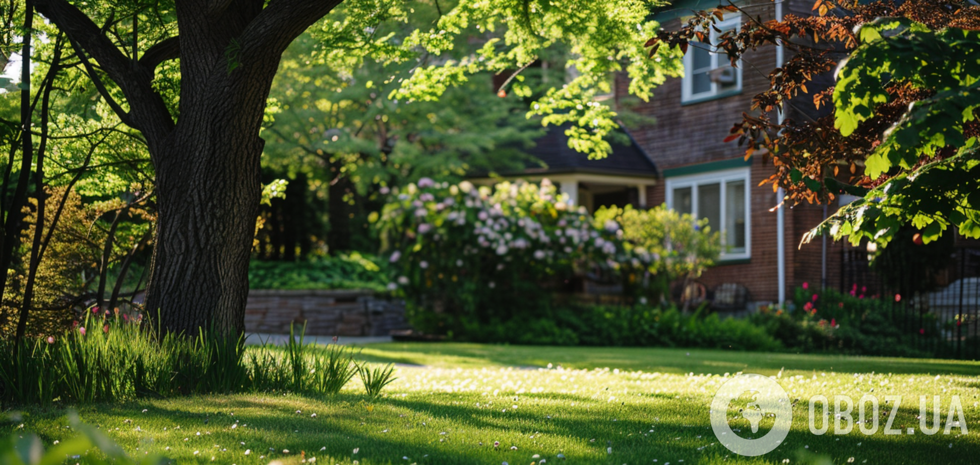 Які рослини можуть 'ховати' в собі кліщів: список