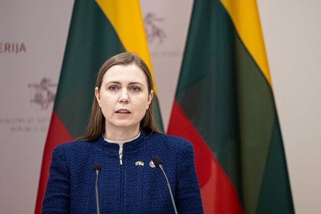 Якщо Захід зазнає поразки в Україні, то вже ніколи не зможе відновити світовий порядок, – Шакалієне