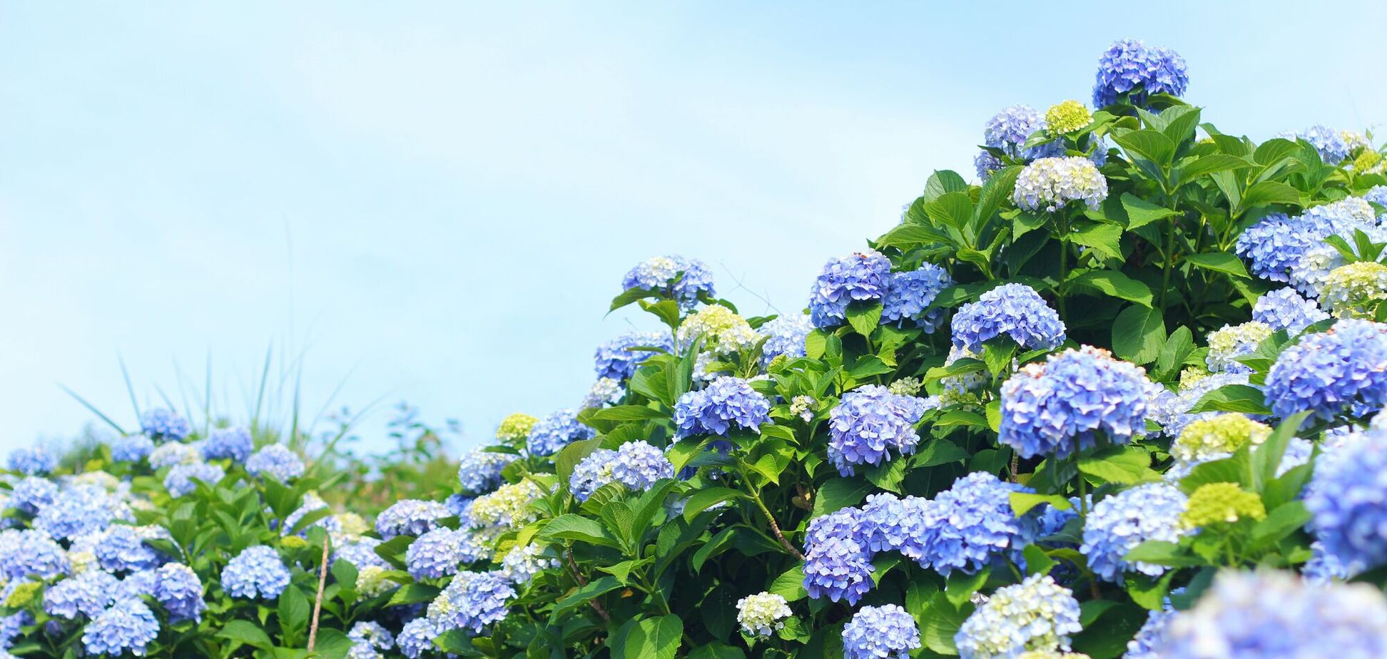 Погода в июне