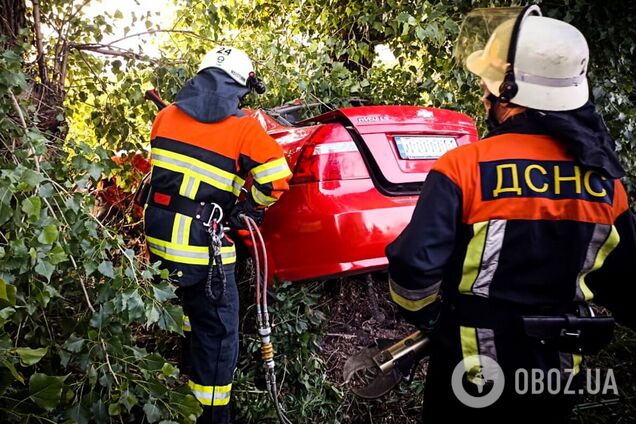 На Київщині легковик на швидкості протаранив дерево: загинуло троє осіб. Подробиці ДТП та фото