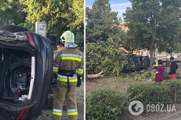 Не справился с управлением: в Николаеве авто влетело в дерево, погибли два человека. Фото и видео