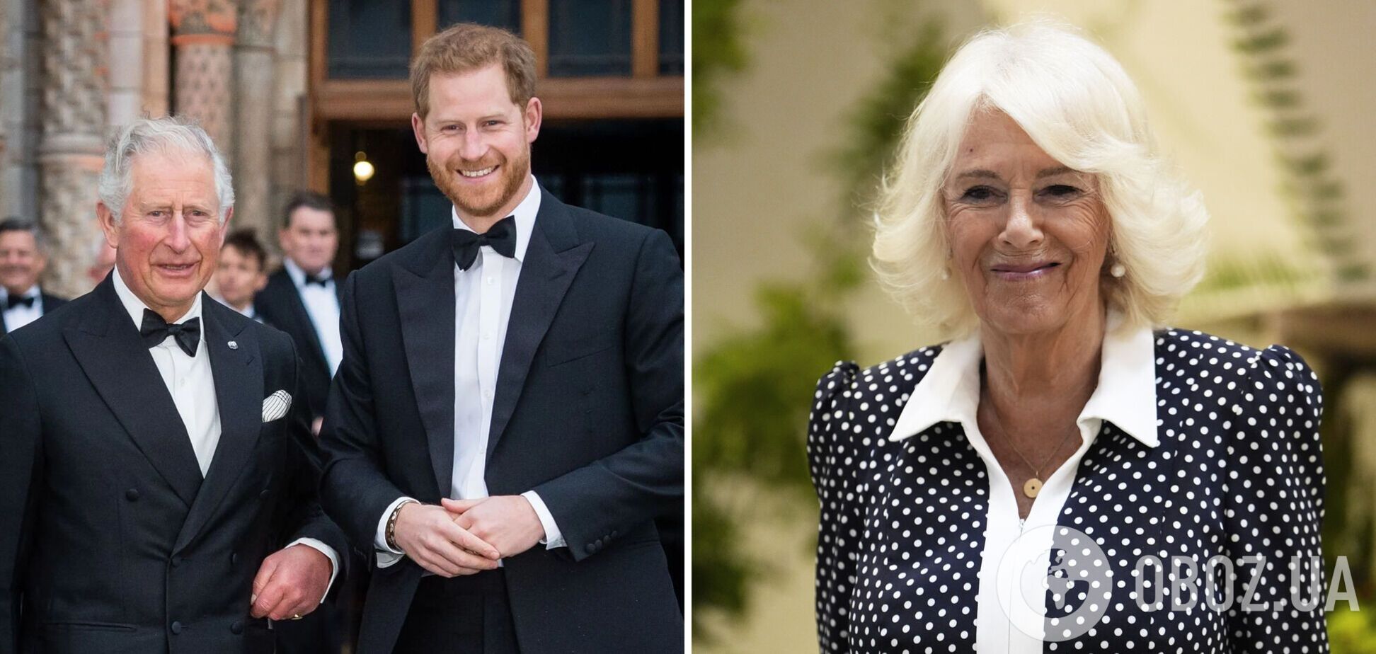 Скандал между Чарльзом III и принцем Гарри: стало известно отношение королевы Камиллы