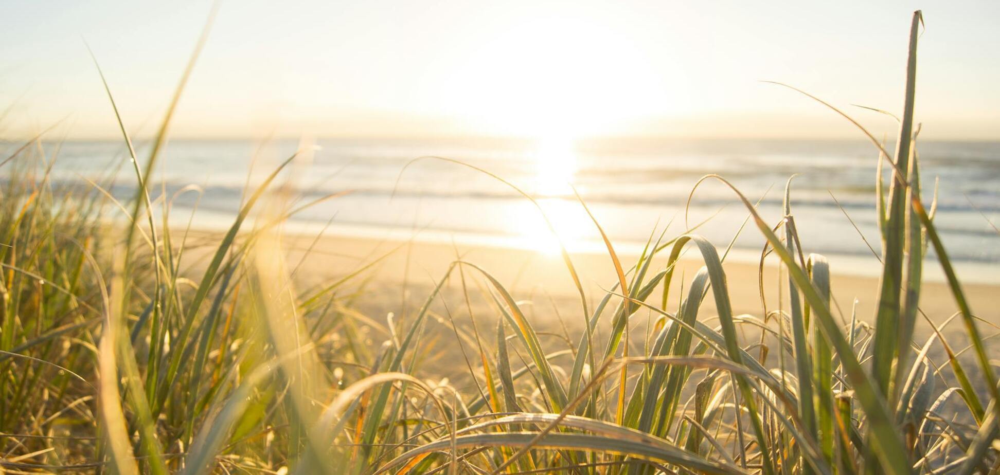 Какой праздник отмечают 10 июня: все об этом дне
