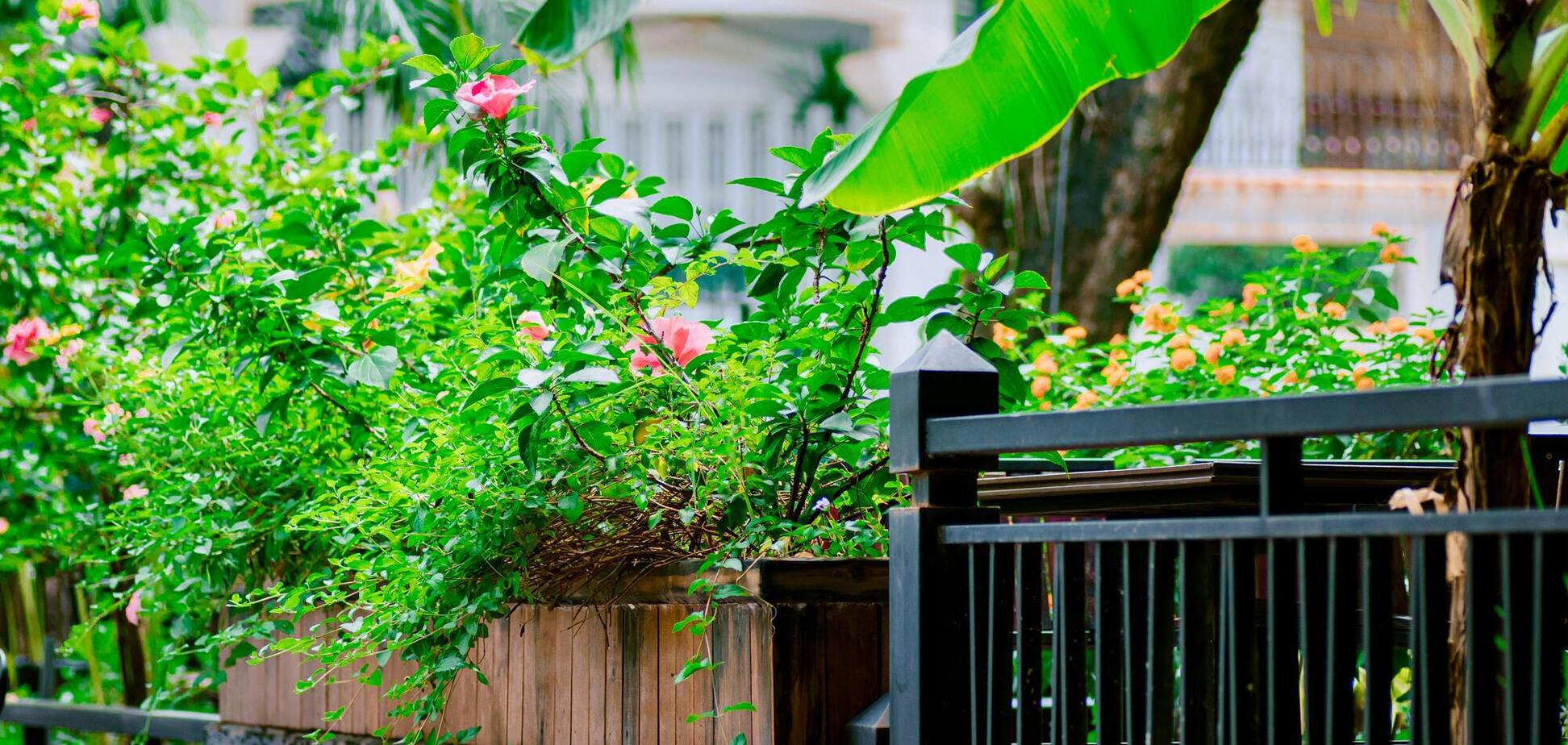 Стоит уже готовиться к осени: что необходимо сделать в саду прямо сейчас