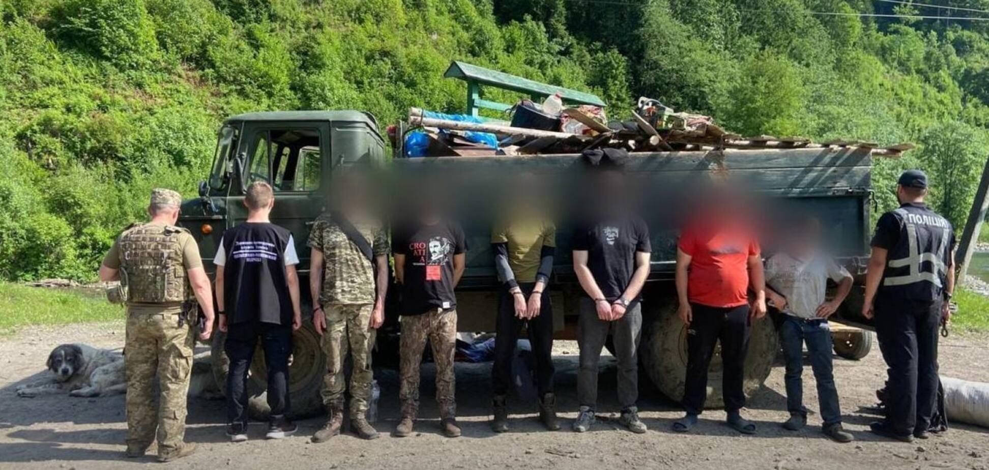 'Прикривались' худобою: на Закарпатті викрили хитру схему з переправлення чоловіків за кордон. Фото