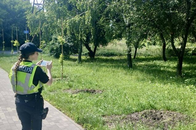 У Києві невідомі викрали сакури зі скверу пам'яті загиблих журналістів: усі подробиці