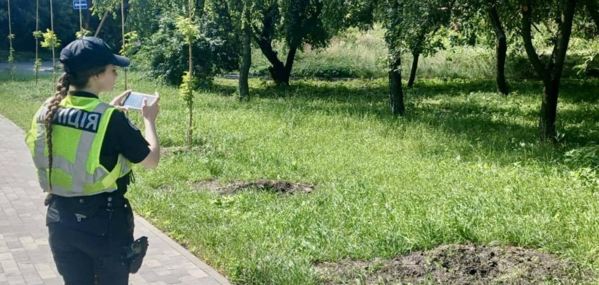 У Києві невідомі викрали сакури зі скверу пам'яті загиблих журналістів: усі подробиці