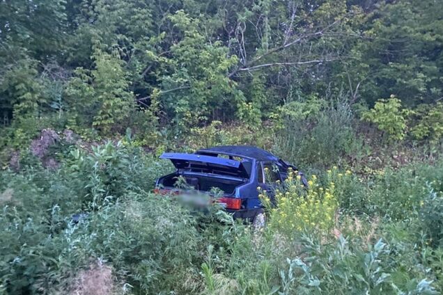 В Черкасской области авто протаранило электроопору и вылетело в кювет: погибла женщина, пострадал мужчина. Фото