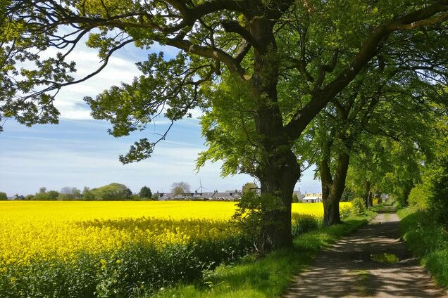 Сонце доведеться пошукати: синоптики назвали регіони, де у понеділок буде тепліше за 30°C