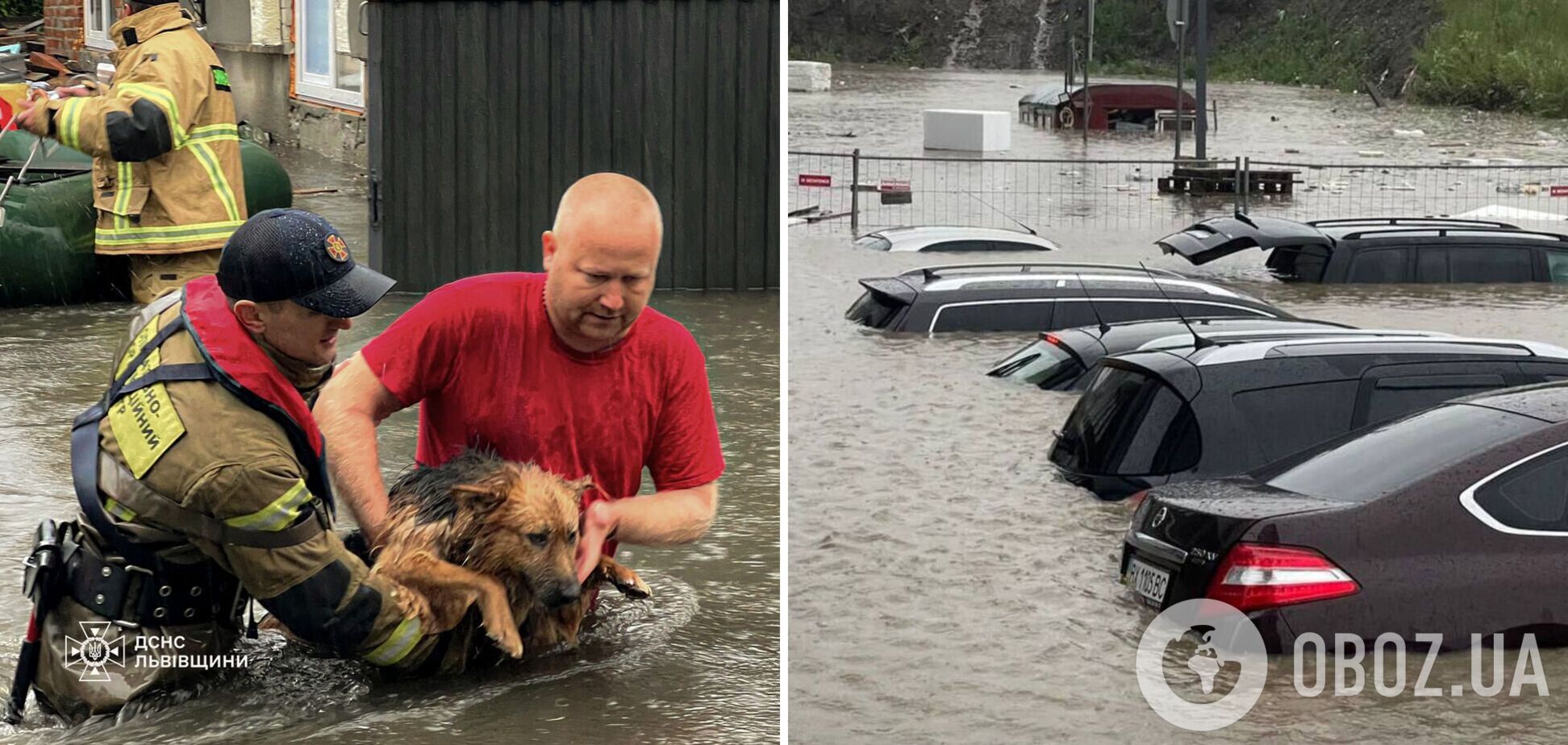 Уровень воды местами достигает 3 метров: на Львовщине река вышла из берегов, подтопило улицы, дома и авто. Фото и видео