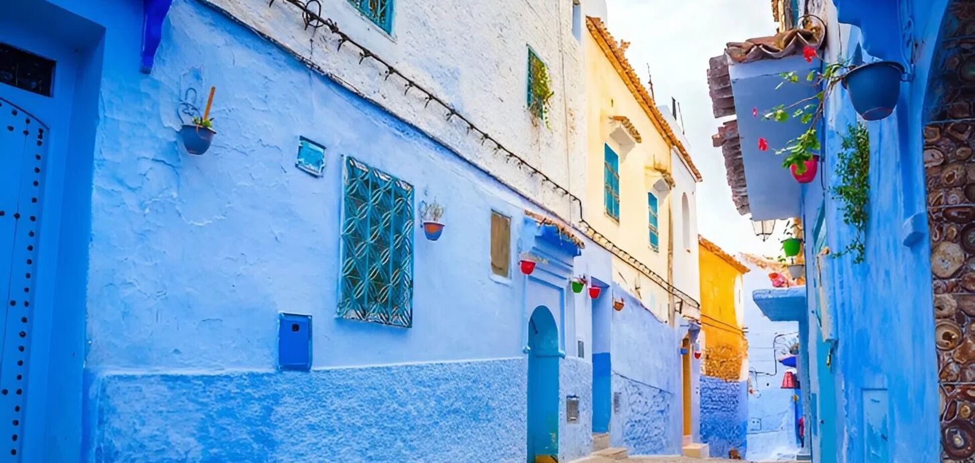 Знайдіть кота: головоломка, що не всім під силу