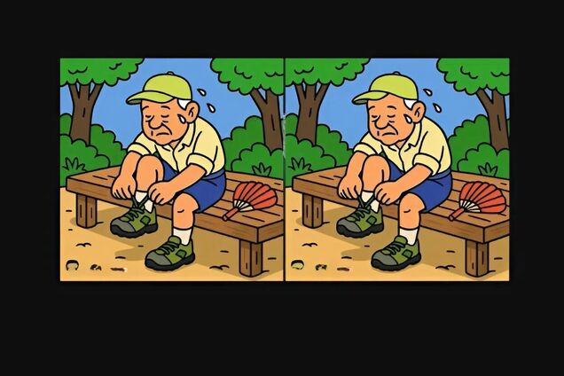 Знайдіть відмінності і покажіть свою уважність: головоломка