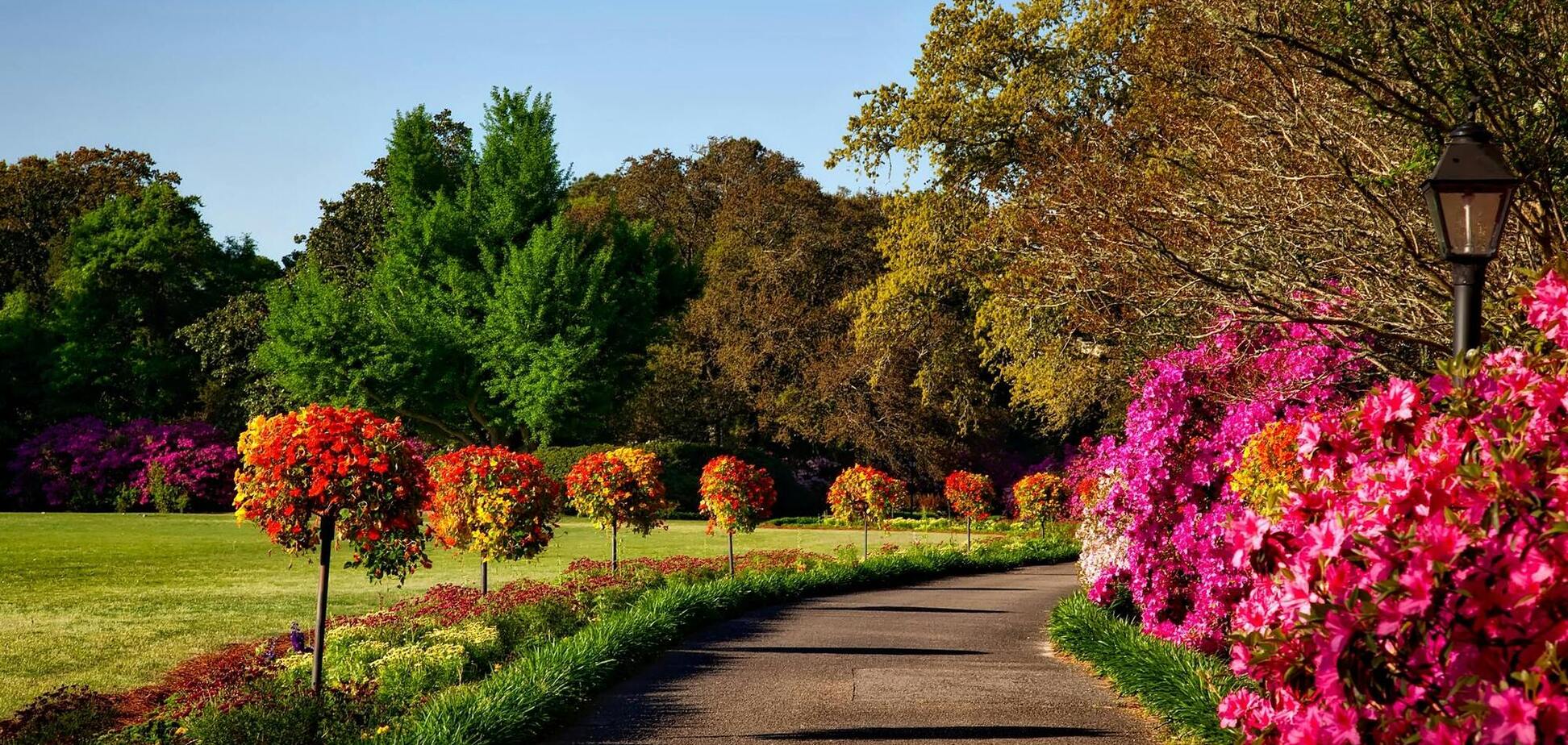 Як захистити сад від бурі і зливи: дієві поради