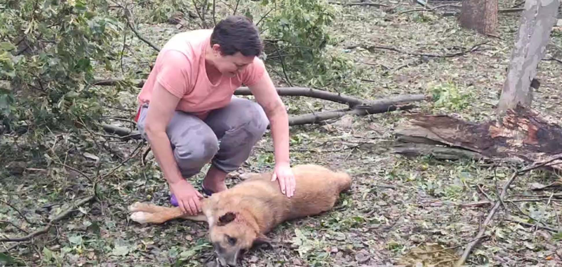 'От этих кадров становится больно': оккупанты ударом по Харькову убили собаку, которая была настоящим другом. Видео