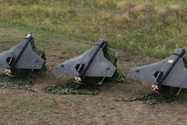 дрон Гербера