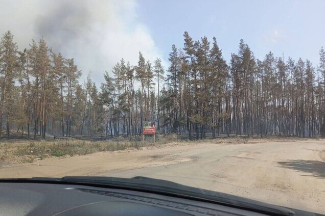 У оккупированного Северодонецка выгорело более 100 га леса: ситуация неконтролируемая