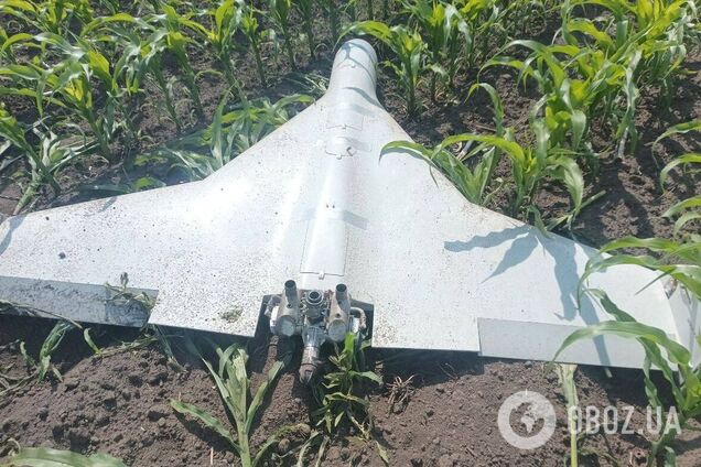 Похожие на 'Шахеды', но меньше и на FPV-управлении: в ВСУ начали фиксировать новый тип фронтовых дронов врага. Фото