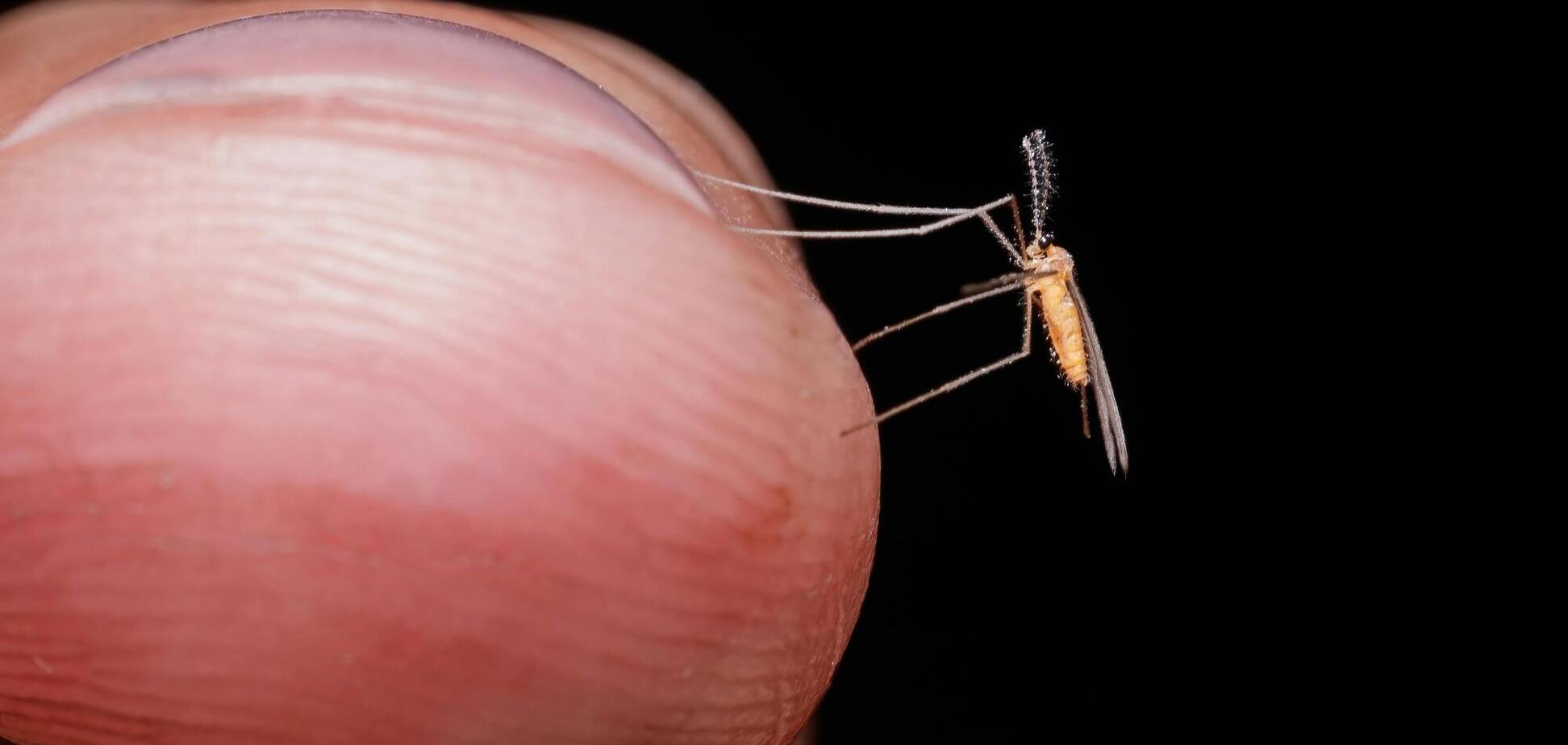 П'ять факторів діють як 'магніт': кого найчастіше кусають комарі і як від них захиститися