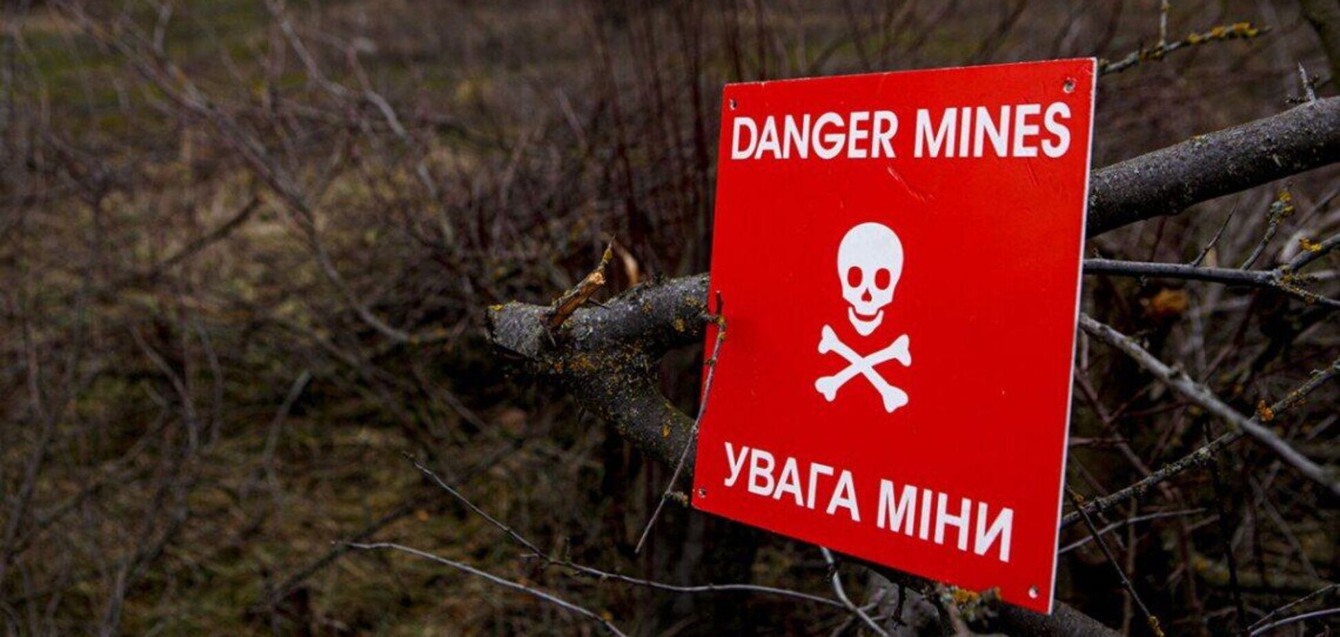 Украина вышла из Оттавской конвенции: остались ли у ВСУ противопехотные мины и какой минимум необходим для безопасности границы