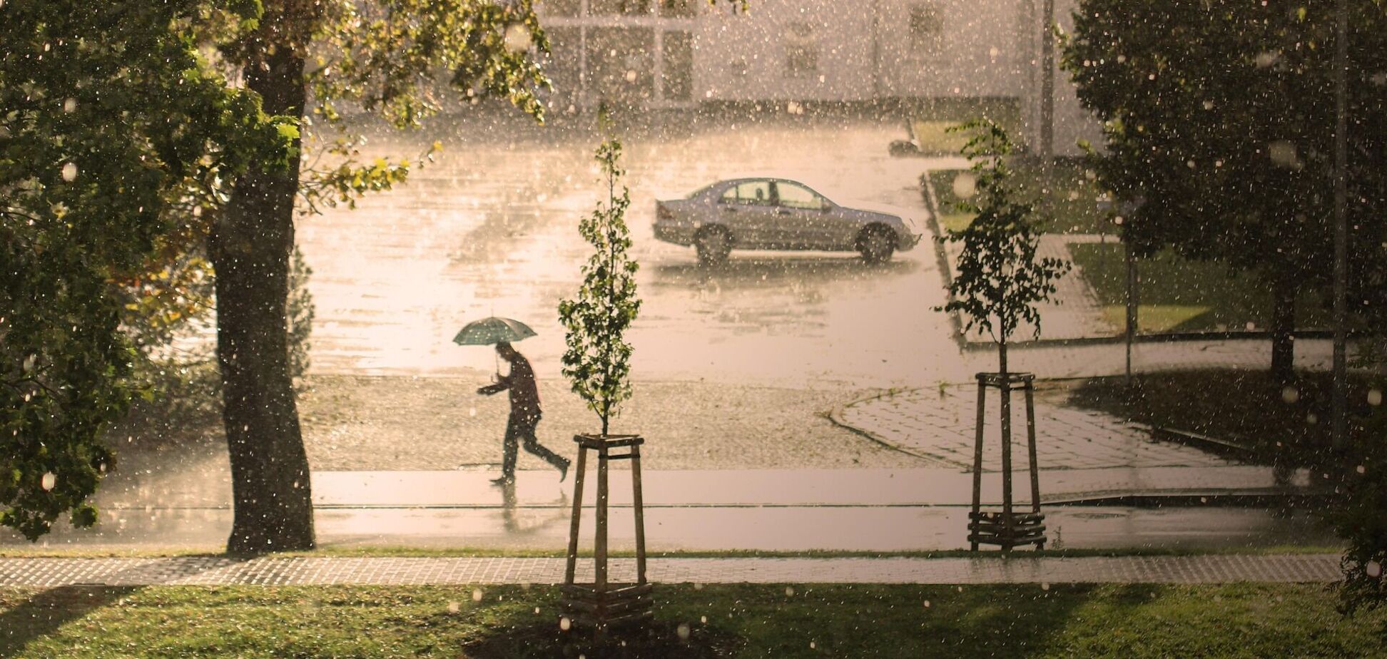Почти без осадков: синоптики назвали единственный регион, где в воскресенье пройдут дожди