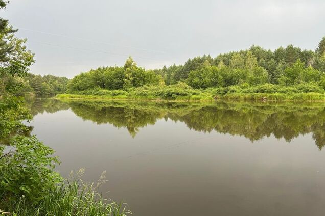 Нет ни одного солнечного окуня: ученые сделали интересное открытие о рыбе в зоне ЧАЭС