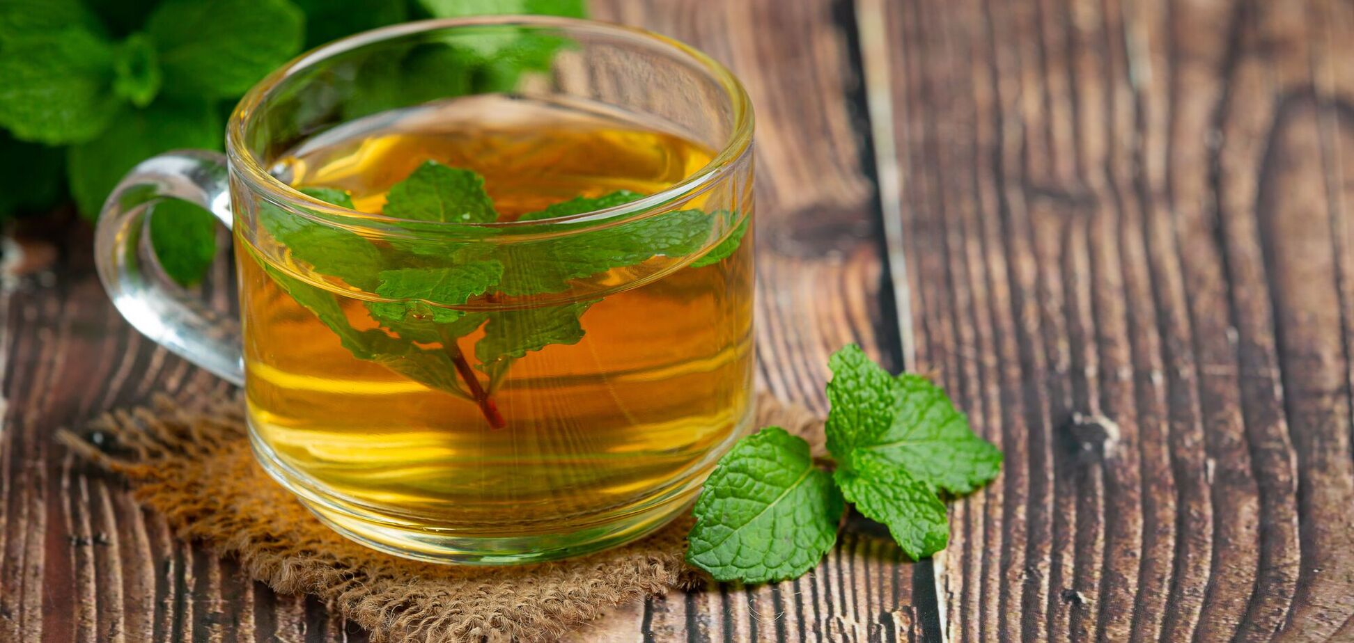 М’ята проти гормонального дисбалансу: як звичайний чай допомагає жінкам з полікістозом