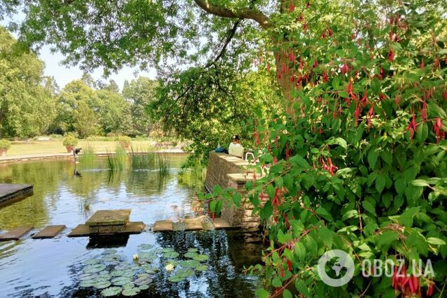 Екватор літа: десь похолодає, а десь очікується до +37. Гідрометцентр назвав найбільш дощові дні