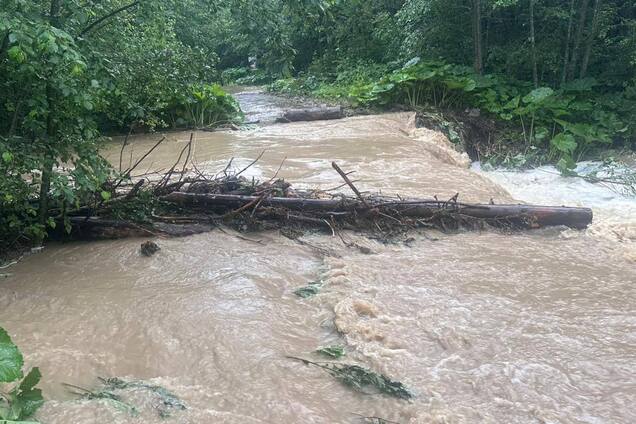 Дороги размыты, в реках повышается уровень воды: в Карпатах бушует непогода. Видео