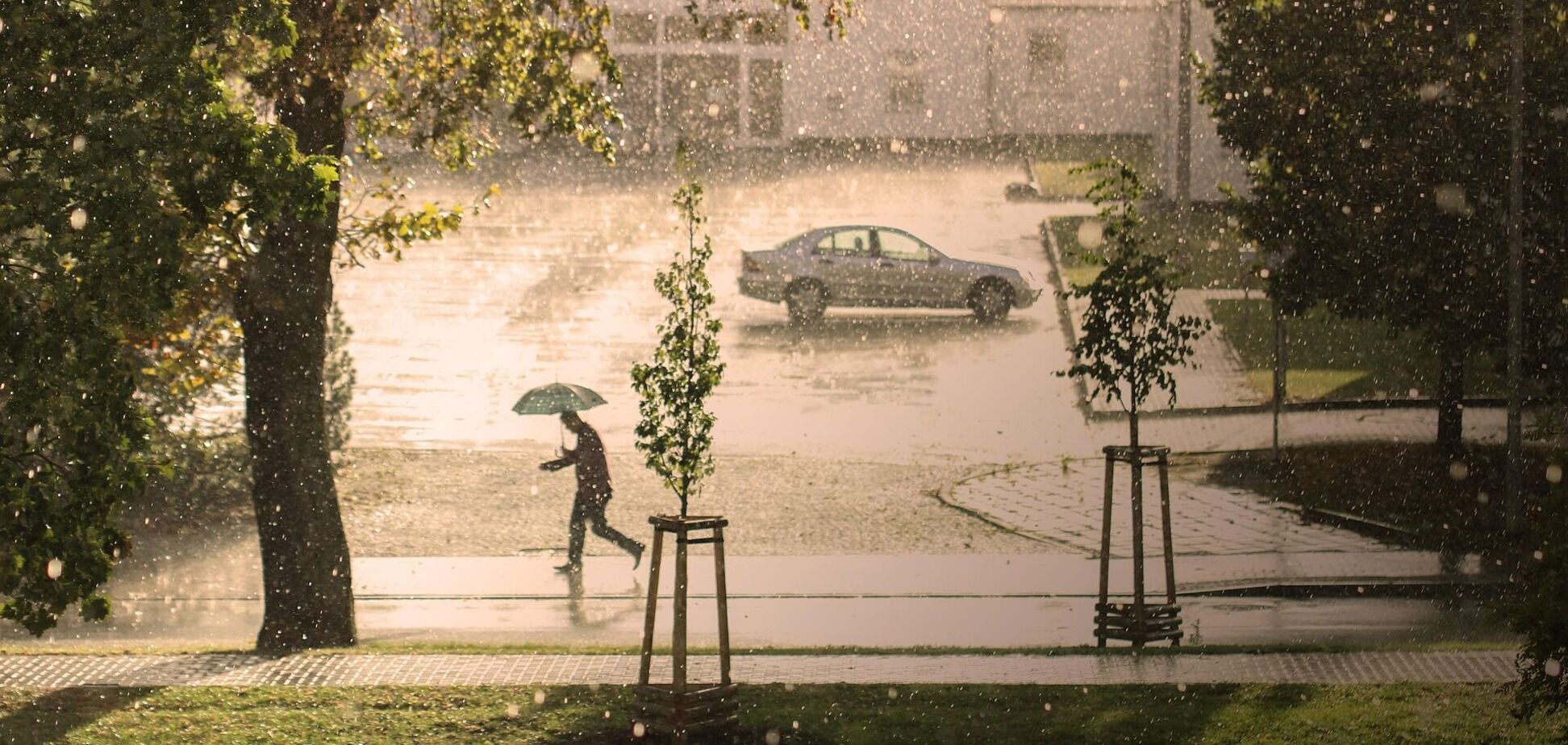 Дощі та штормовий вітер: синоптикиня назвала області, які може накрити негода в четвер. Карта