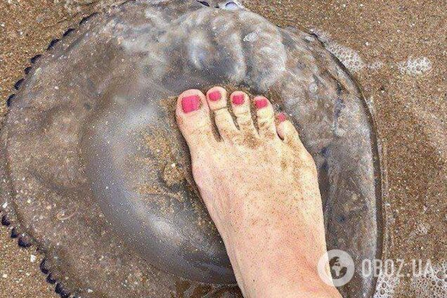 Курортный сезон в России снова под угрозой: какая проблема на этот раз. Видео